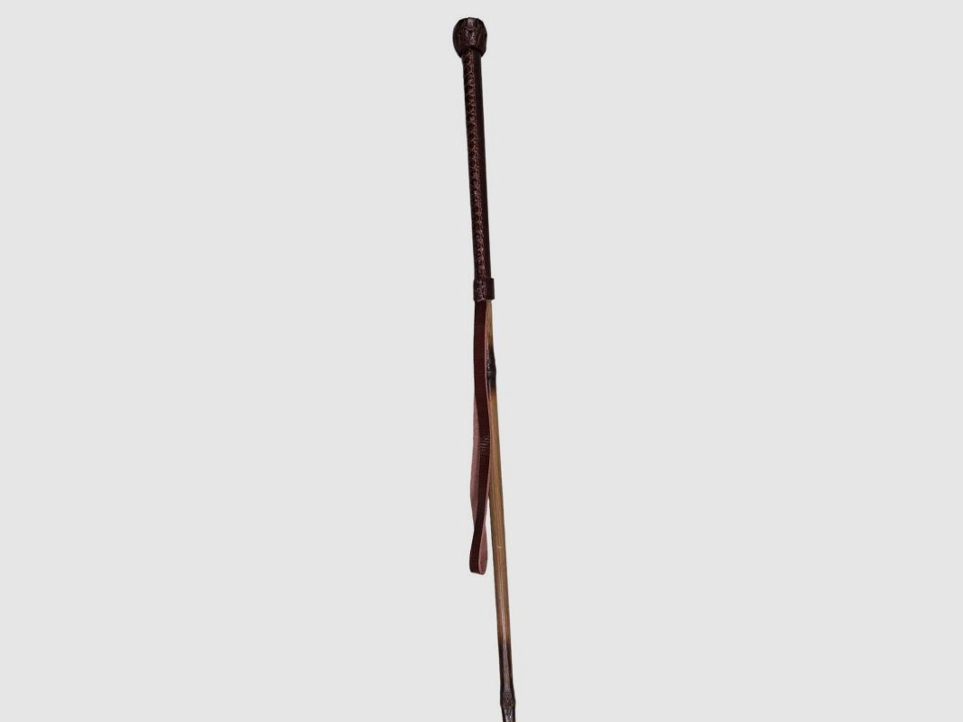 AMAZONENSTOCK BAMBUS 100CM, Bild 1 von 2