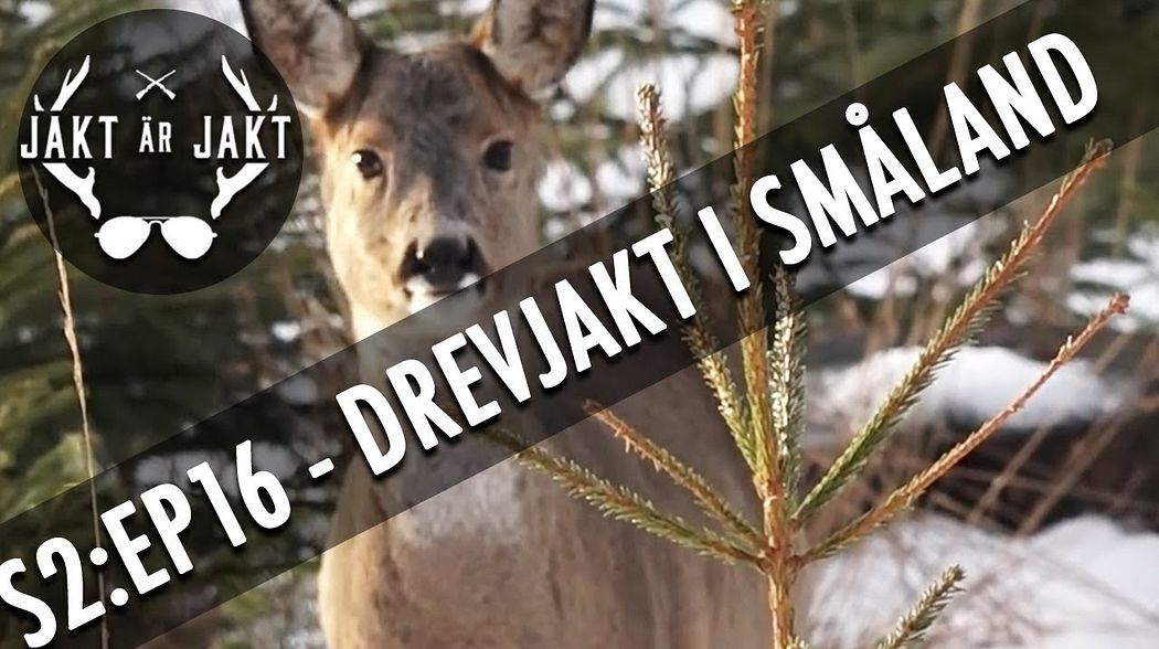 Lubbe och Jompen är i Småland på drevjakt. Jakt Är Jakt