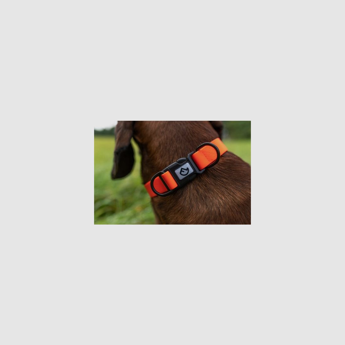 Farm-Land Halsband verstellbar