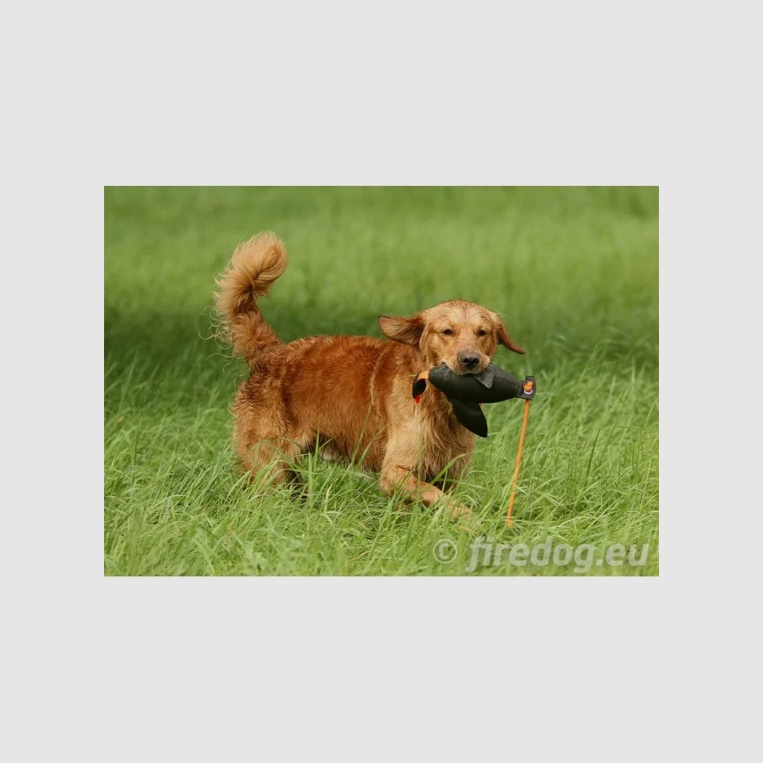 APORT DLA PSÓW FIREDOG KACZKA DUCK DUMMY LARGE 600G KHAKI, zdjęcie 2 z 2
