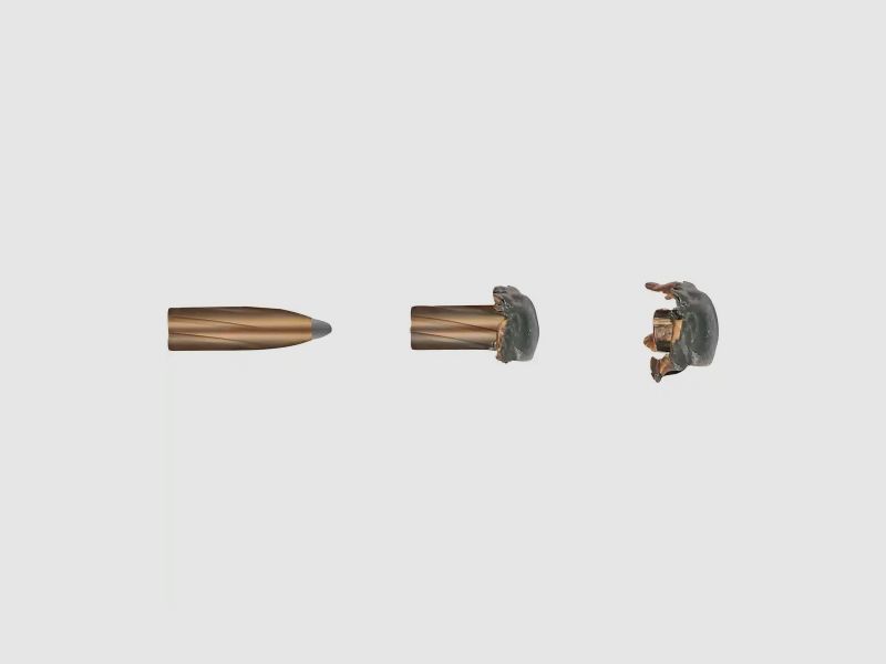 Geco Softpoint .30-06 Spr. 11,0g/170grs. 20 Patronen