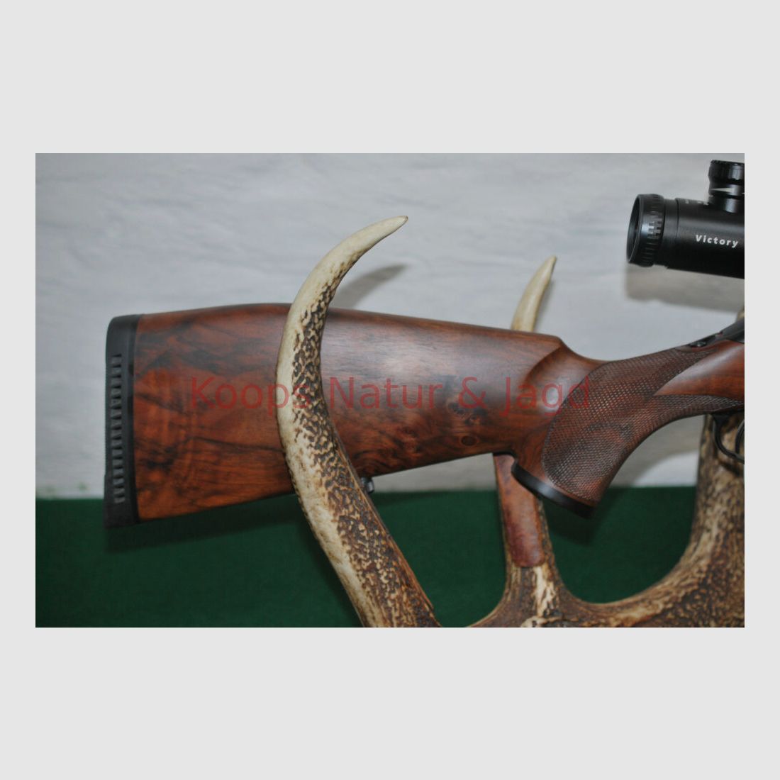 Sauer 202 Forest