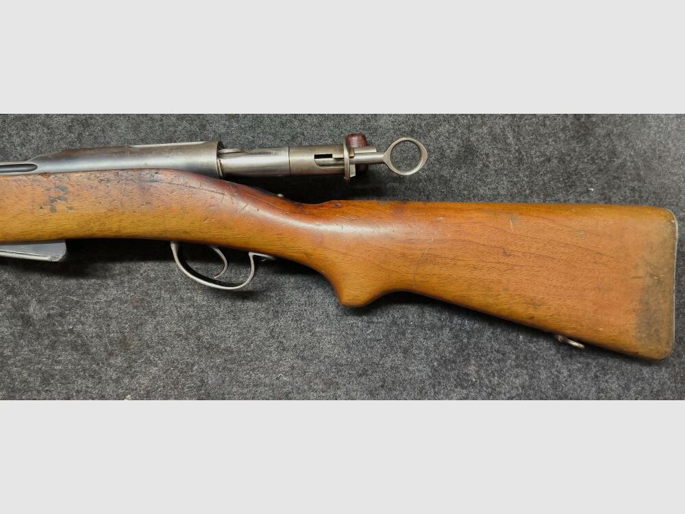Schmidt Rubin G11