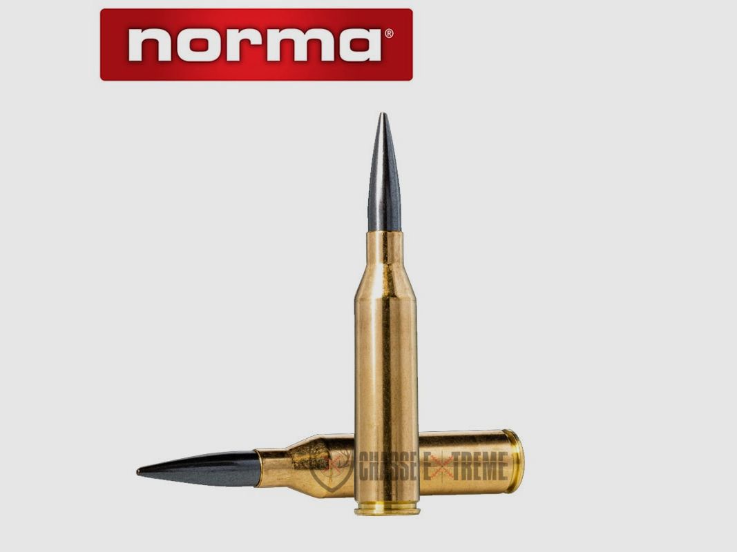20 cartuchos NORMA Cal. 300 Norma Mag 230gr Target Match