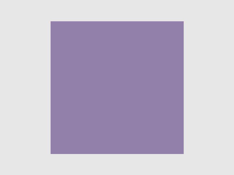 BRESSER SBP24 Sfondo in Carta 2,00 x 11m Viola con Fiori, immagine 5 di 7
