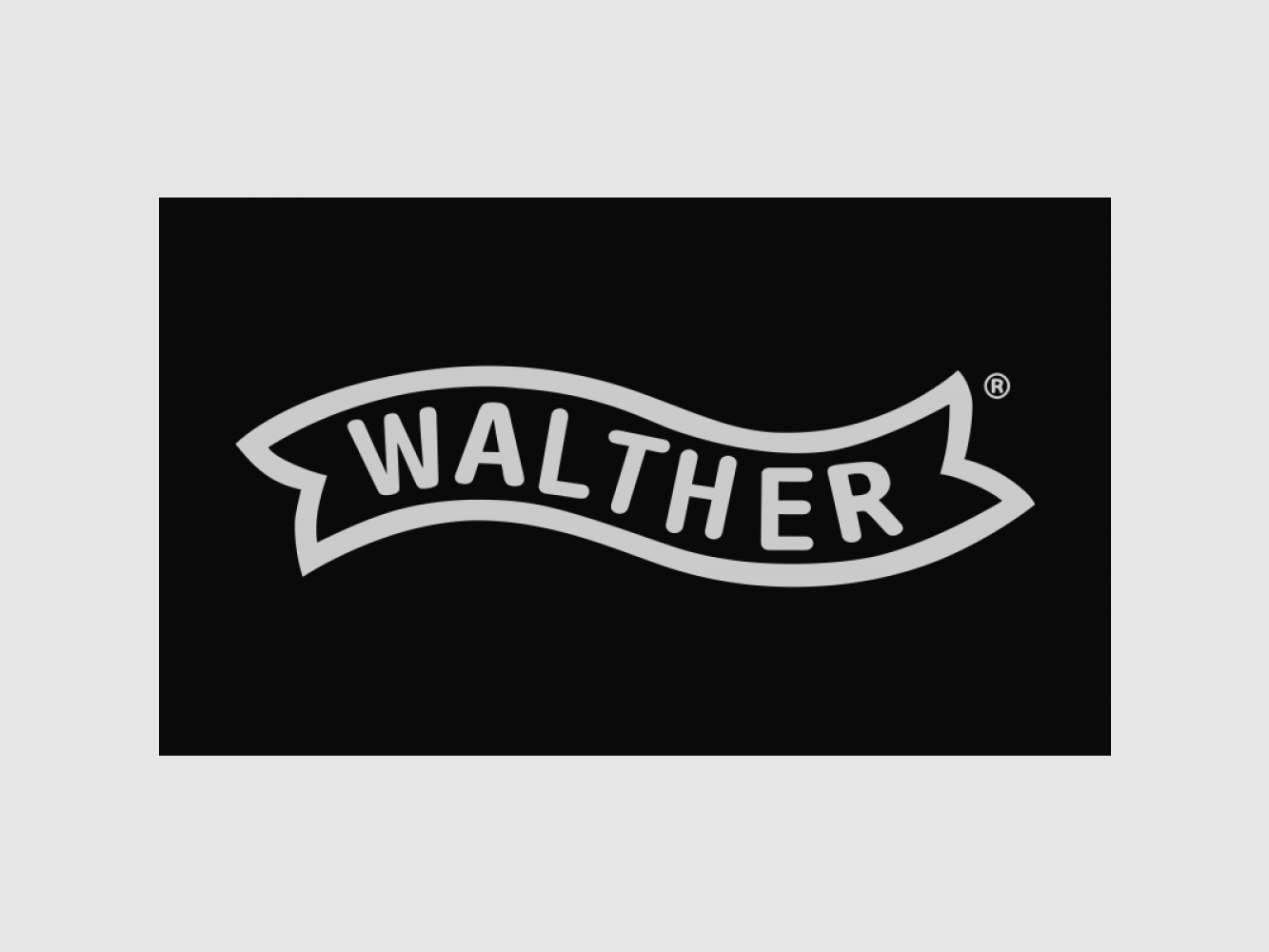 Caricatore Walther Colt 1911, 22 LR, 10 colpi