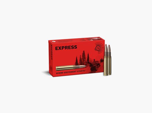 GECO Munizioni .30-06 Geco Express 10,7 g / 165 gr VE20
