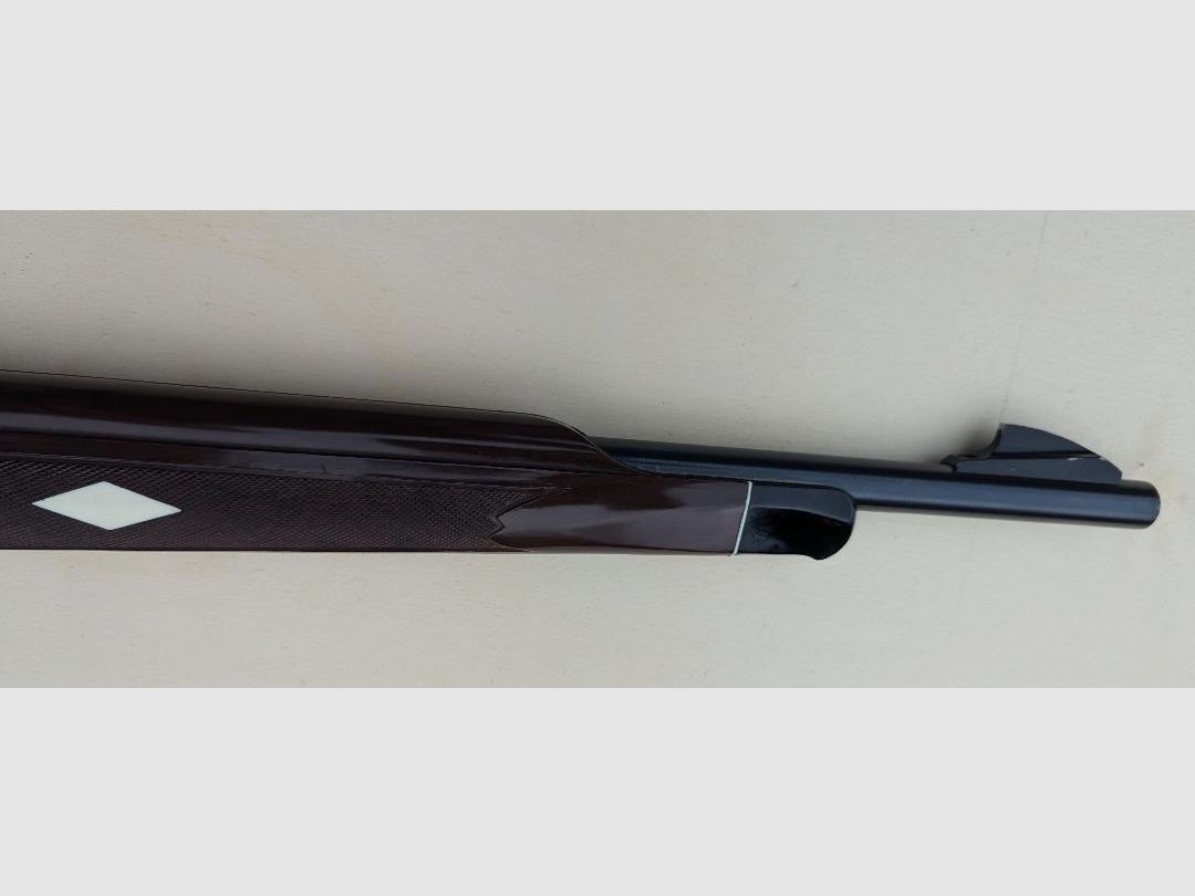 Nylon 76 Remington .22lr, carabina a leva inferiore, immagine 8 di 10