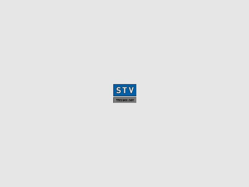 STV FMJ 123grs verkupf. oder lackiert - 500Stk