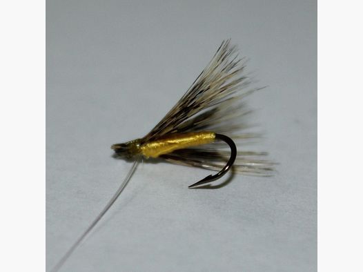 Fliege mit gelbem Körper