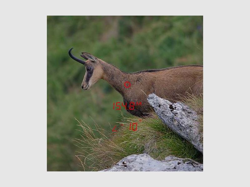 GPO Rangeguide – różne wersje, zdjęcie 2 z 3