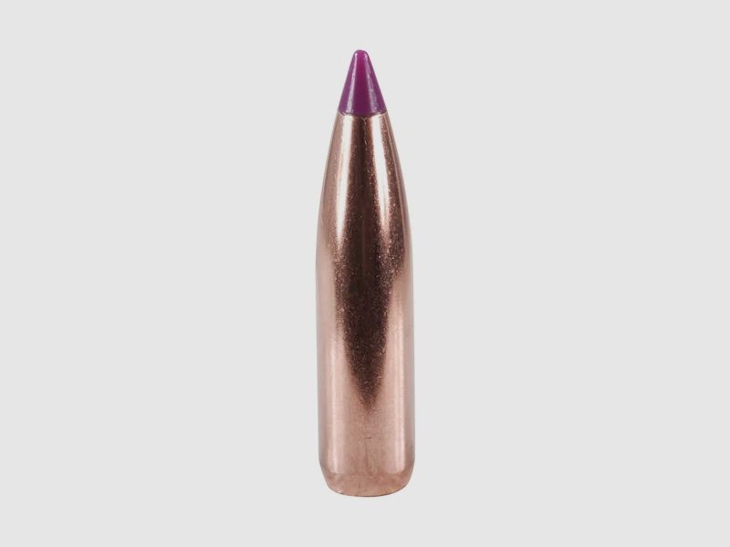 Nosler Geschoss Ballistic Tip Hunting 6mm/.243 95GR Spitzer 50 Stück