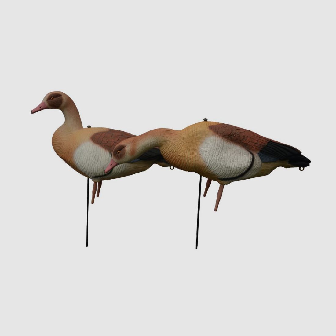 Prodecoys leurre d’oie d’Égypte corps entier, lot de 12 pièces, image 3 sur 3