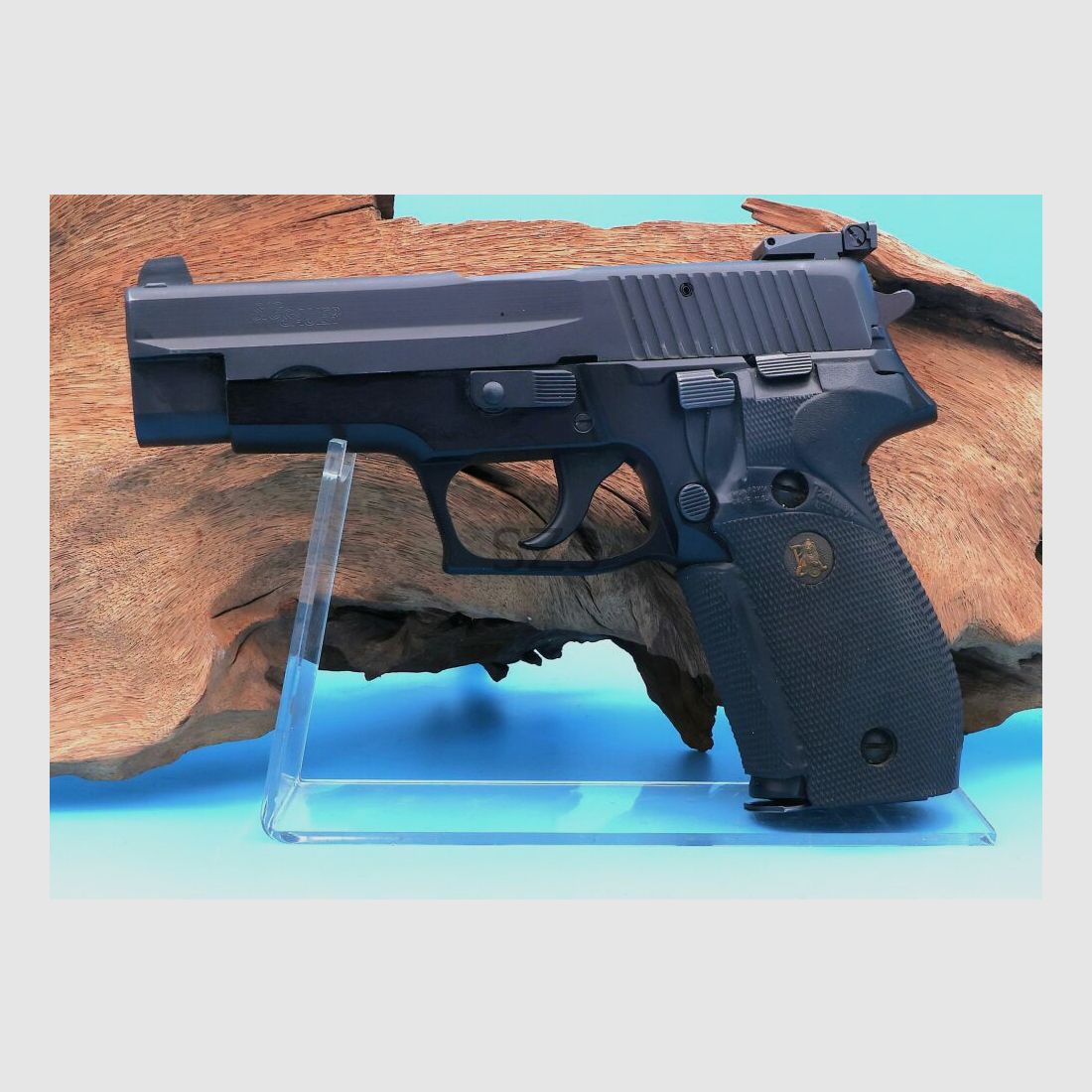 SIG Sauer 226