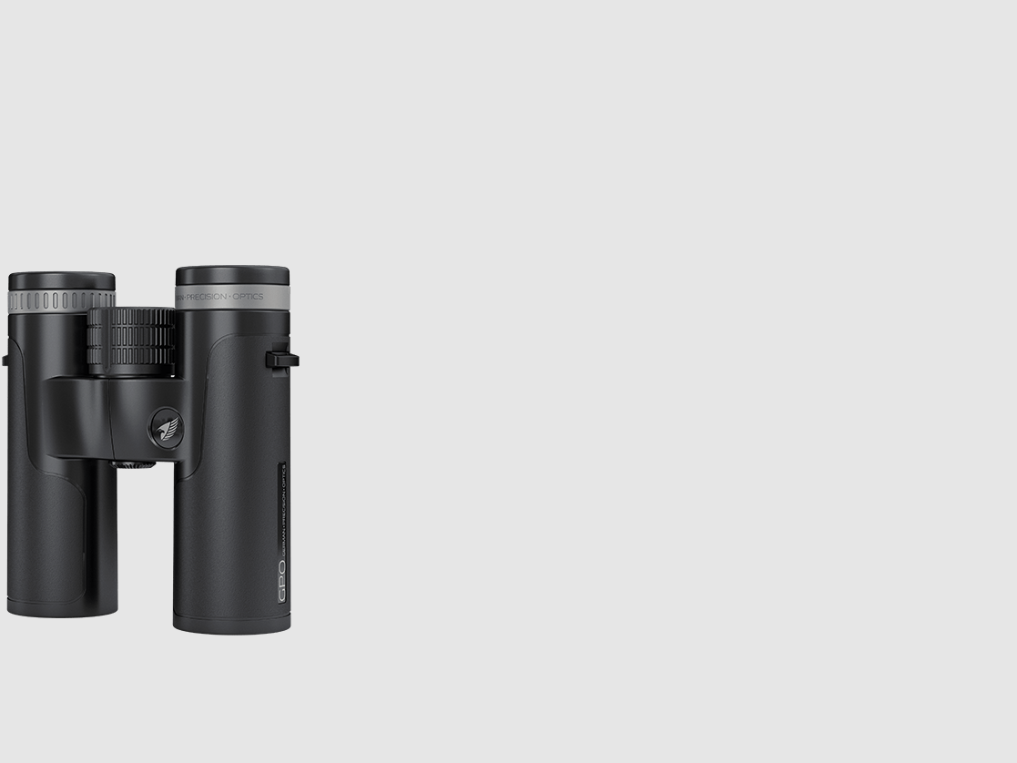 PASSION™ SD 10x34