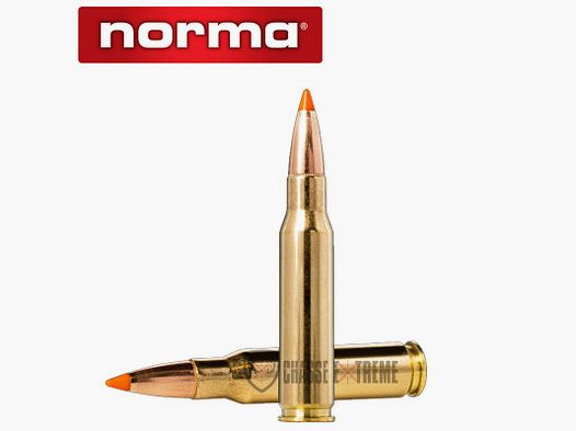 20 cartridges NORMA .308 Win-170gr Tipstrike