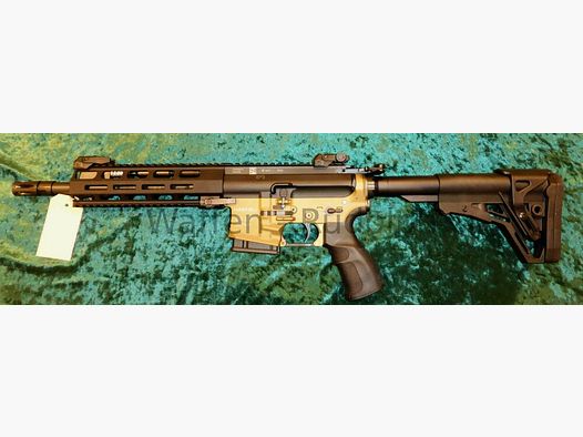 Haenel Haenel CR223 10,5 pulgadas DuoTone