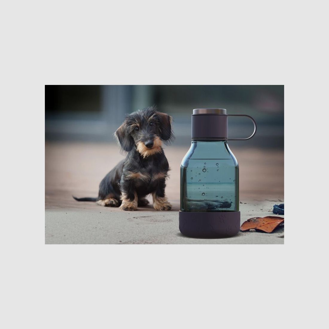 Asobu - Dog Bowl - Flasche aus Tritan mit Hundenapf 1,5 Liter Burgunderrot