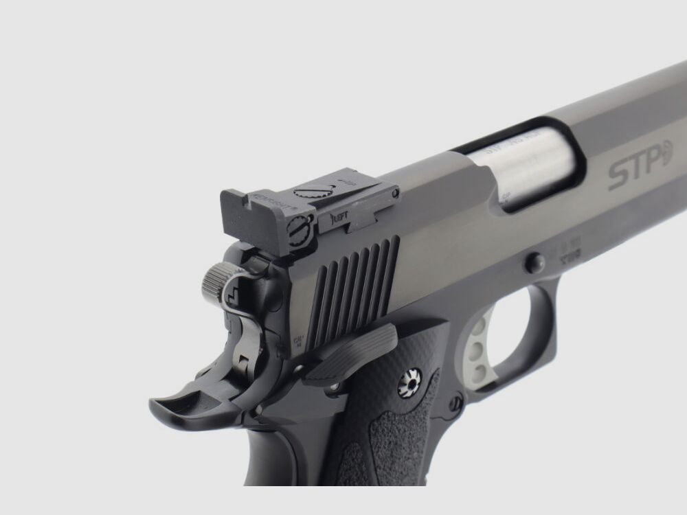 STP door Prommersberger Perfect Classic