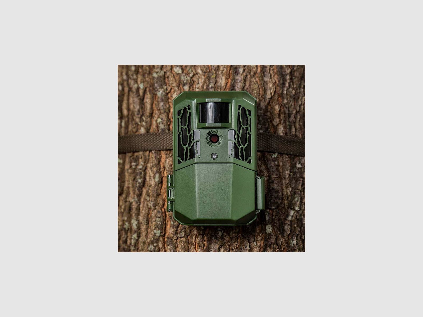 Wildkamera Primos Autopilot, Bild 3 von 4