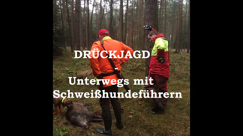 Drückjagd - Unterwegs mit Schweißhundeführern