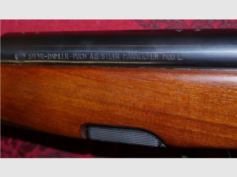 Steyr L