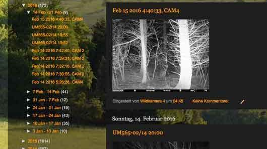 Wildkamerabilder per E-Mail in Blog posten (Bilderarchiv)