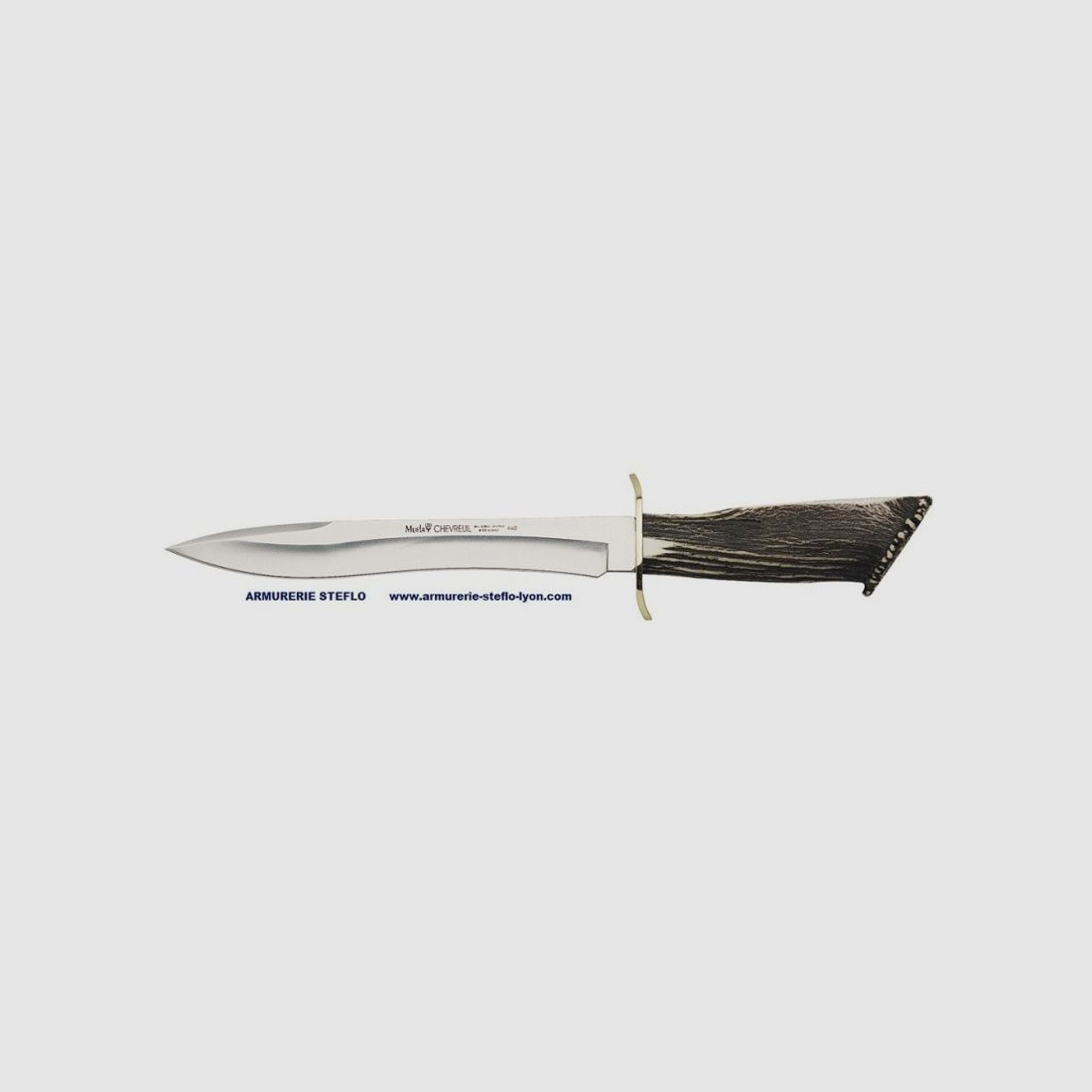 Muela Chevreuil 22cm Reh