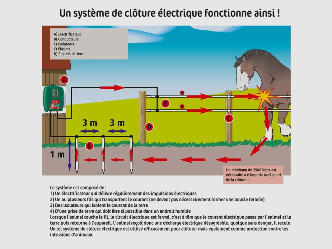 Elektrifizierbares Schafnetz 0,90 m, Bild 3 von 9