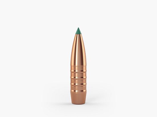 TN-Geschoss CROCKETT, .30, 190grs. (50 Stk.)