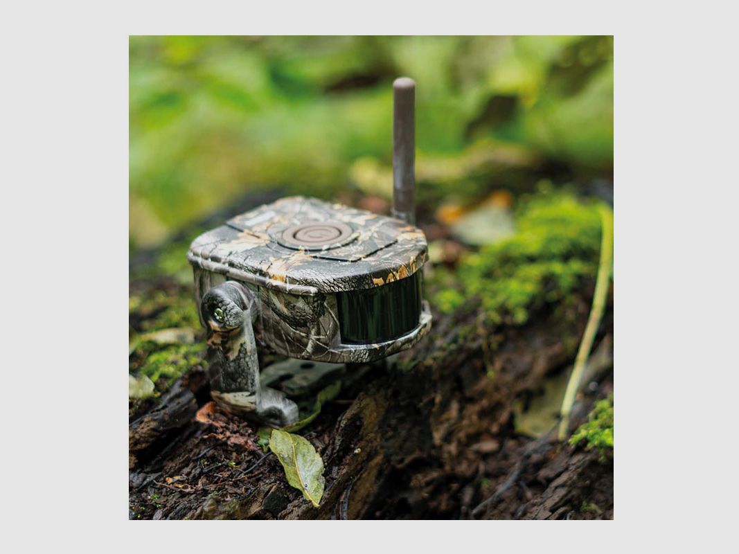 Dörr Funk-Bewegungsmelder HA-300S