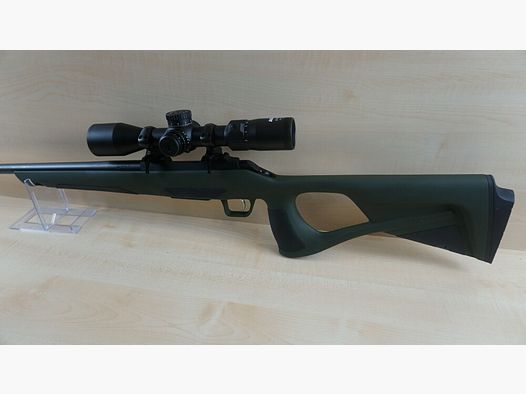 CZ Ergo 600