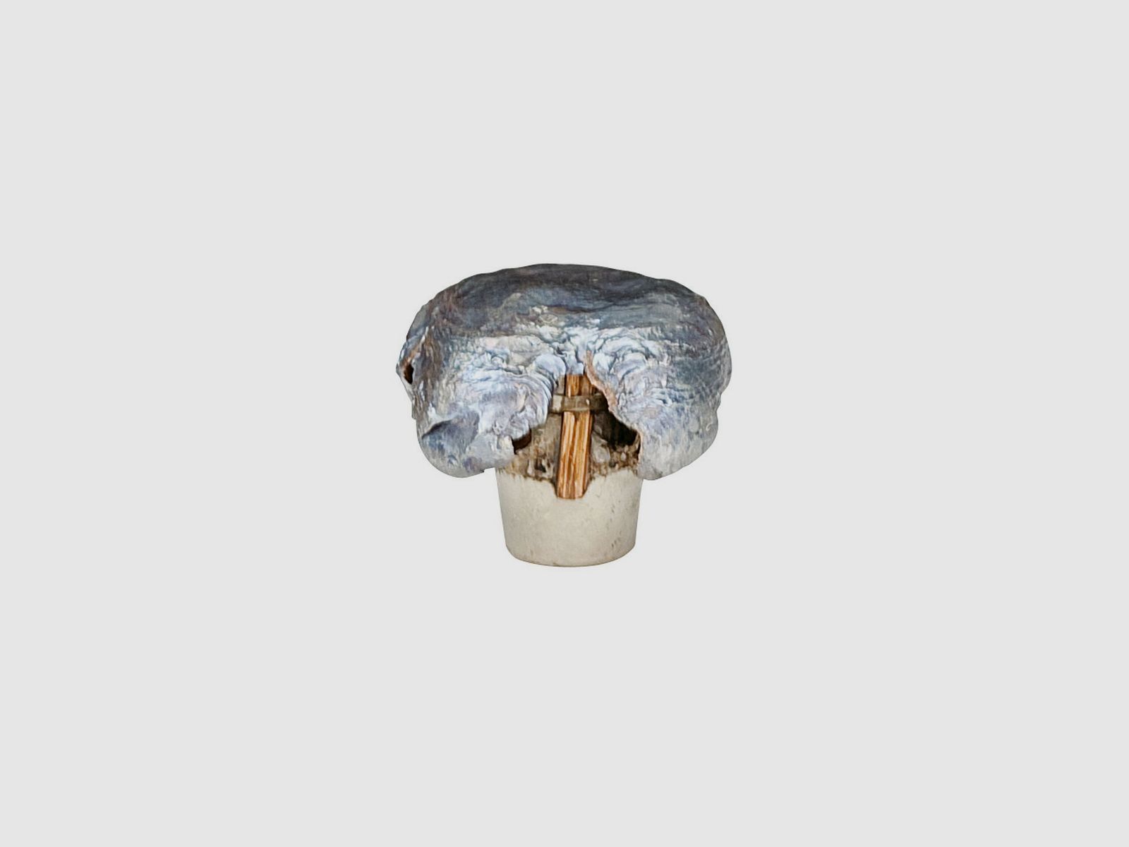 Balle FEDERAL PREMIUM Trophy Bonded tip, image 5 sur 7