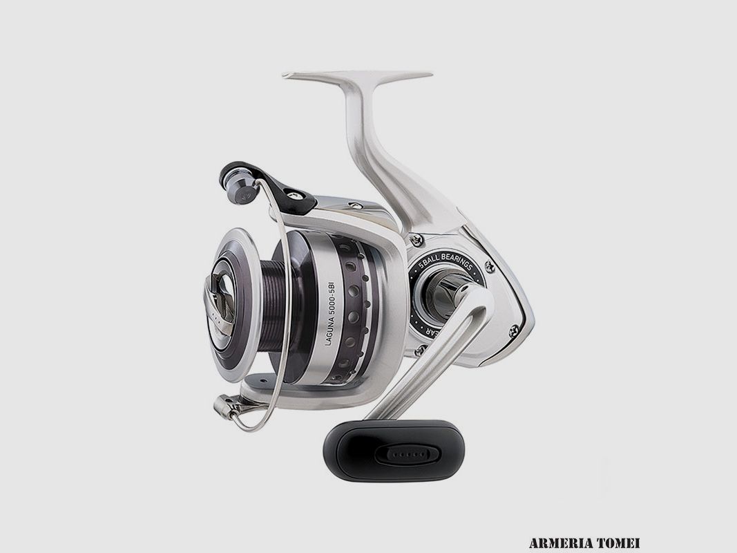 DAIWA – LAGUNA 3000-5Bi, immagine 1 di 3