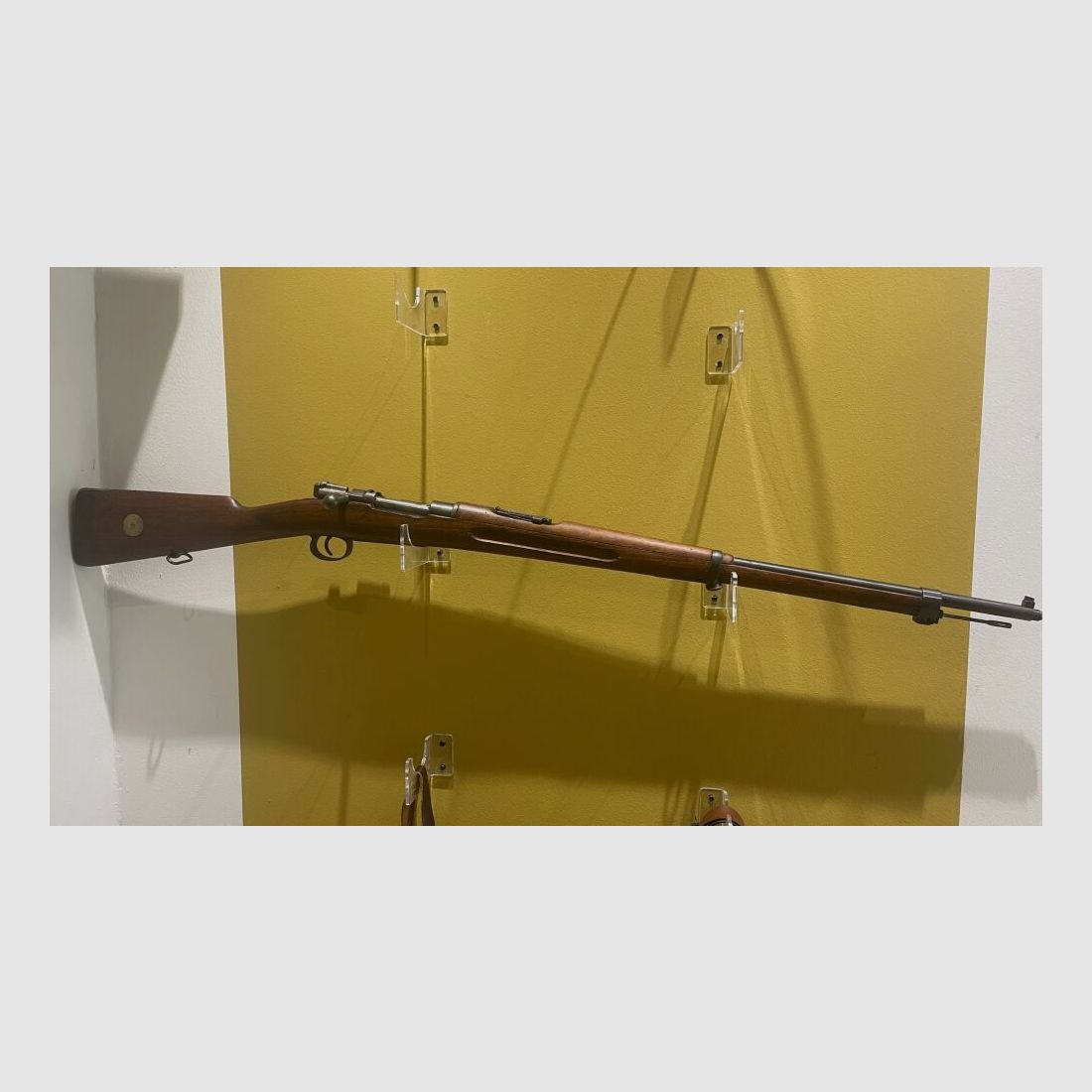 Carl Gustafs M 96