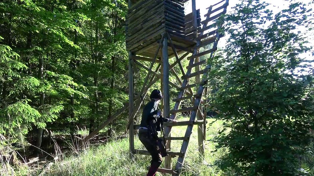 Bockjagd im Mai 2017 - Teil II