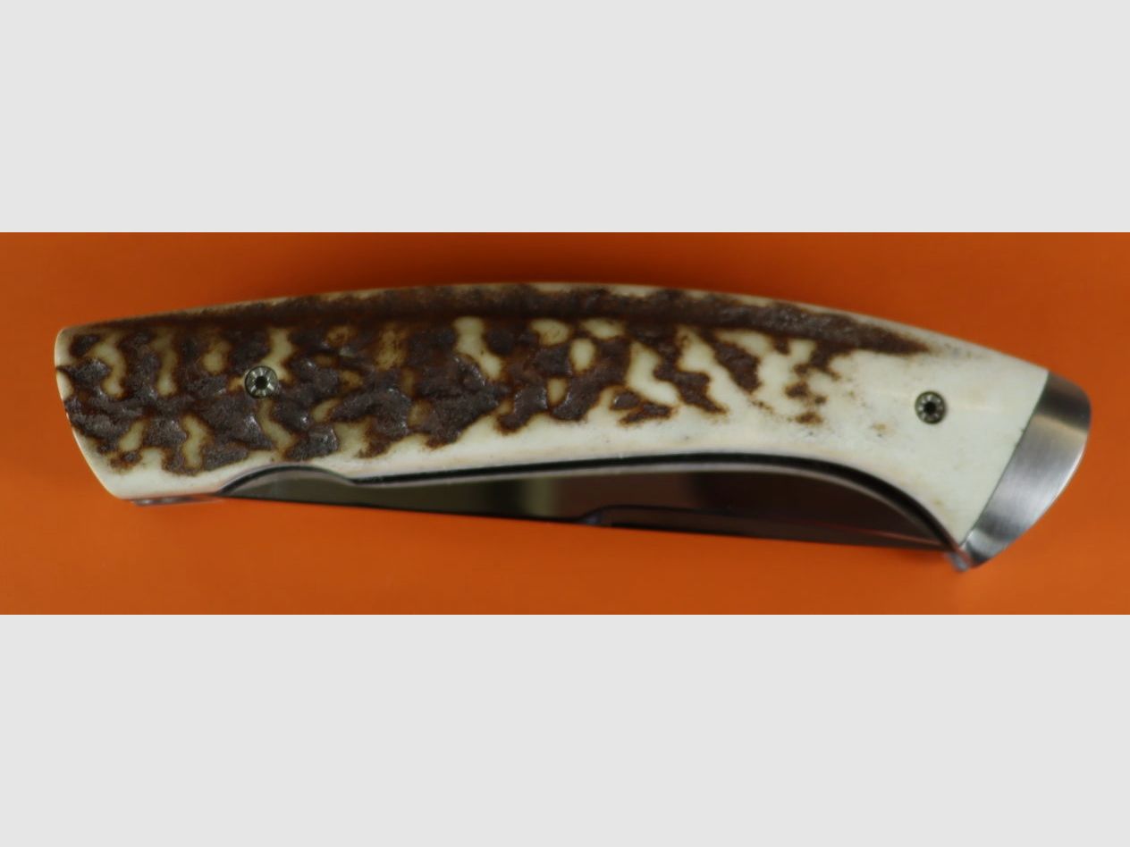 Coltello con manico in legno di cervo, immagine 5 di 5
