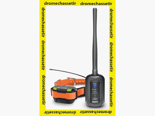 Pacchetto di Addestramento e Localizzazione con Ricevitore e Collare Dogtra Pathfinder Mini