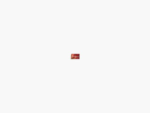 AMUNICJA KULOWA HORNADY 30-06 GMX SPFI 150GR