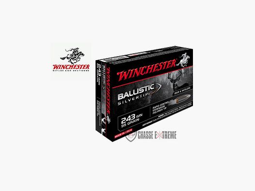20 Munitions WINCHESTER 243 Win 95gr Ballistic Silvertip