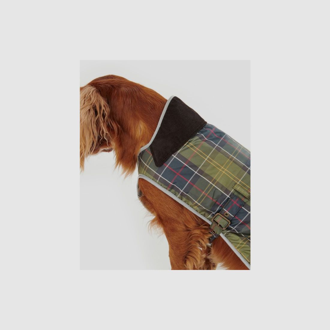 Barbour Abrigo para Perros Tartan Waterproof, imagen 5 de 10