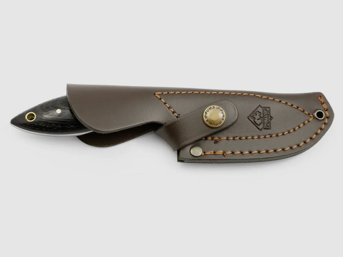 PUMA IP farkas, Wengeholz