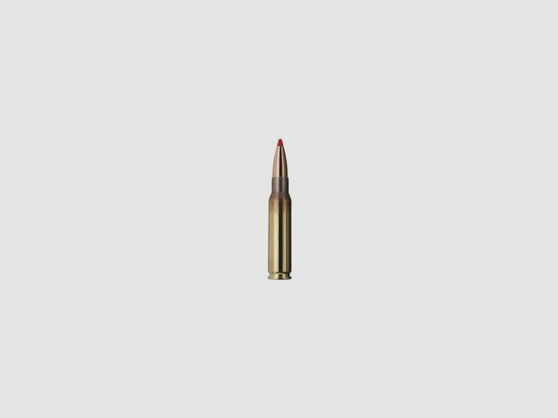 GECO .308 Win. EXPRESS 10.7g/165gr