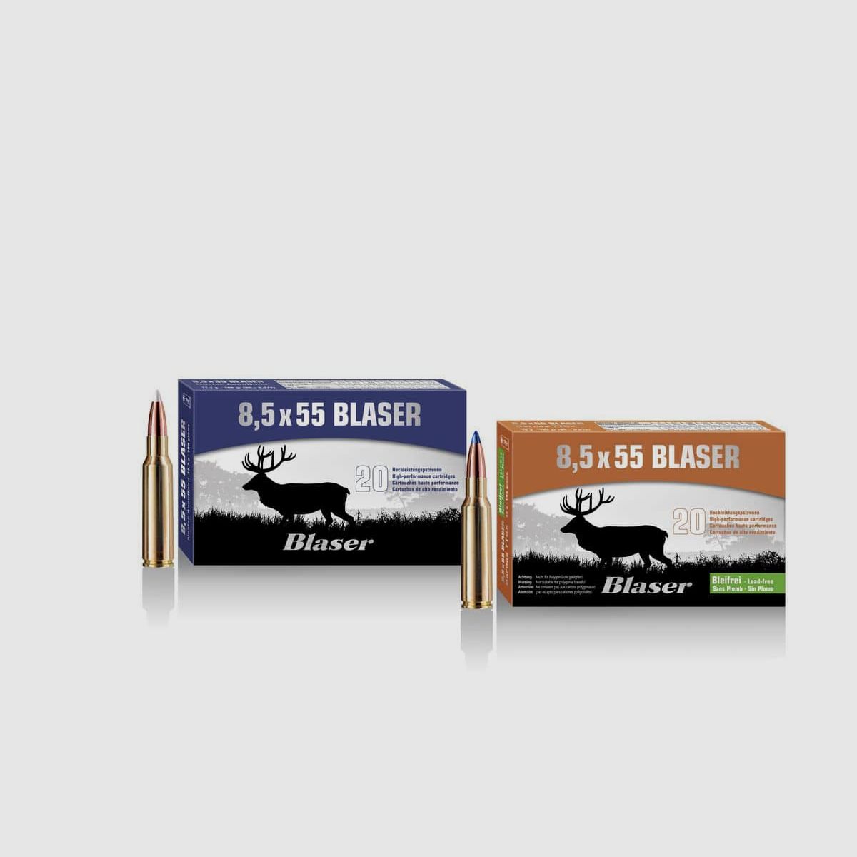 8.5×55 Blaser Barnes TTSX 10.4g / 160grs.