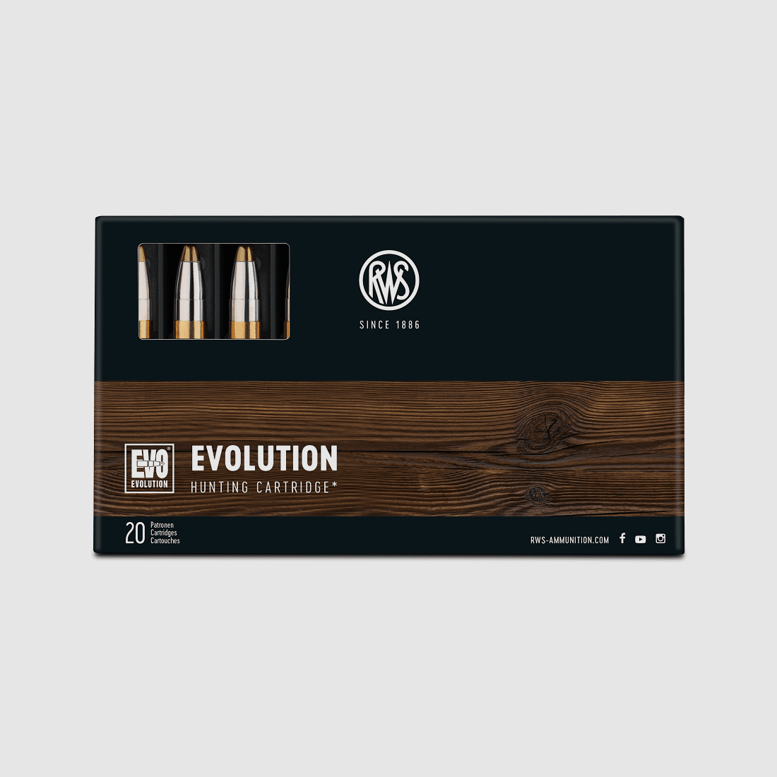 RWS .308 Win Evo 184 gr. - 20 pcs