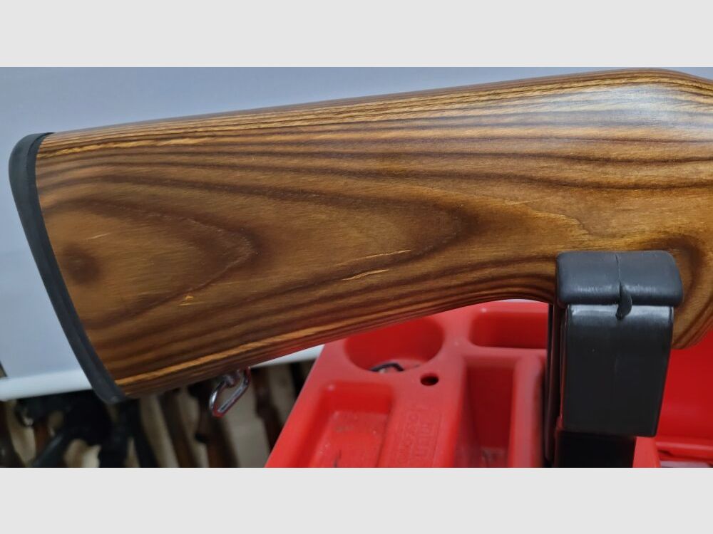 Ruger 10/22