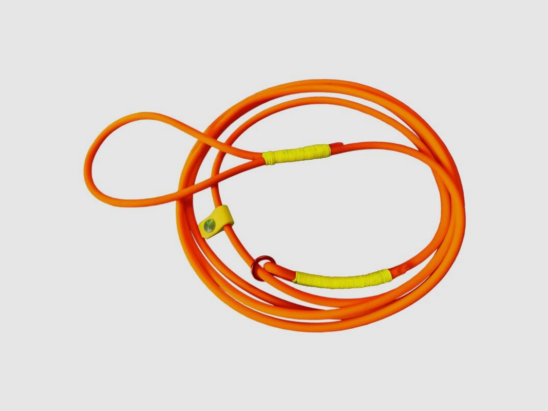 Rundleine mit integriertem Halsband