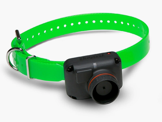 Zusätzliches Halsband Dogtra RB1000