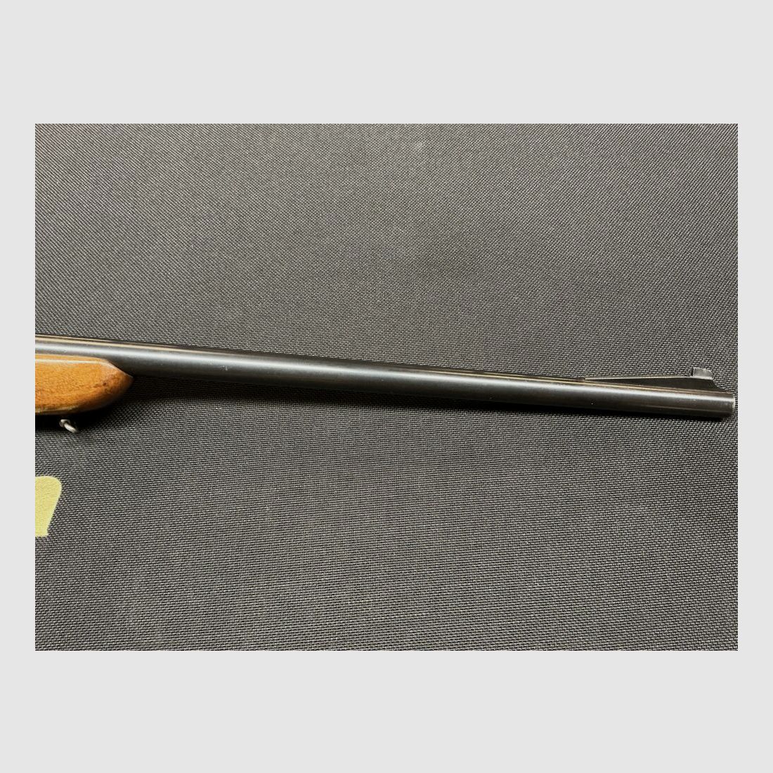 Walther Ohne .22lr