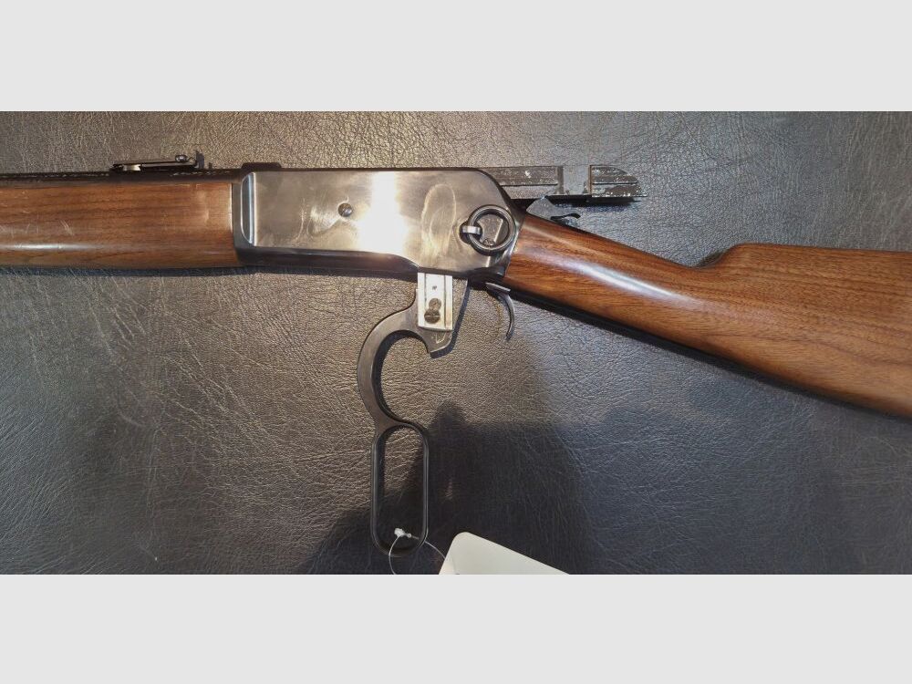 Browning 1886